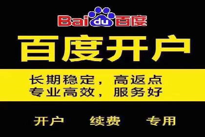 某电商平台的SEM运营实战与效果分析